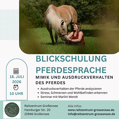 Seminar Blickschulung Pferdesprache, Reitzentrum Großensee