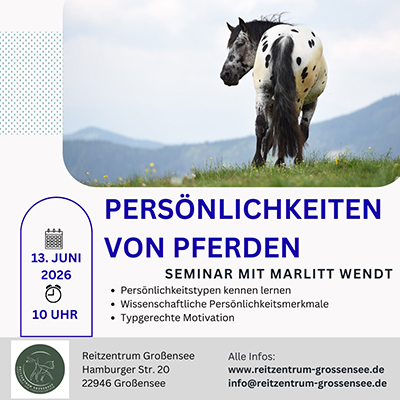 Kurs "Persönlichkeiten von Pferden" mit Marlitt Wendt im Reitzentrum Großensee