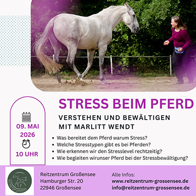 Kurs Stress bei Pferden – verstehen und bewältigen von Marlitt Wendt im Reitzentrum Großensee